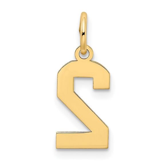14k Yellow Gold, Jersey Collection, Small Number 2 Pendant - Picture 3 of 5